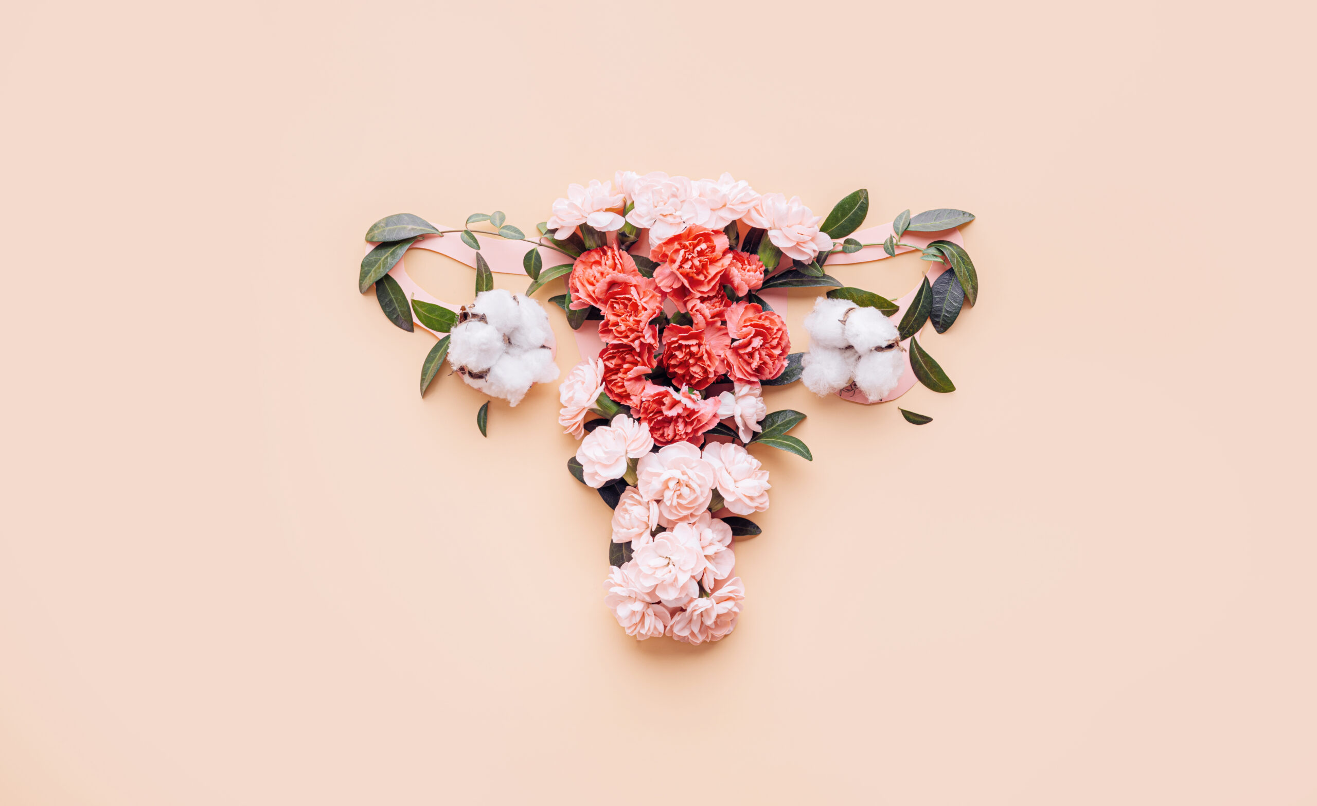conceptual abstract image of the female reproductive system. Female uterus with vagina and ovaries